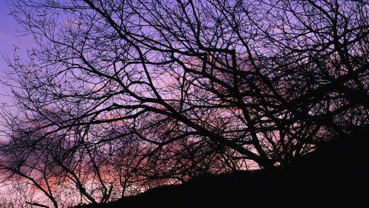 1756476 (a): :1920x1080